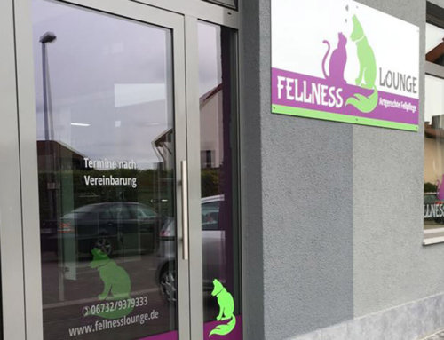 Hundefriseur Beschilderung